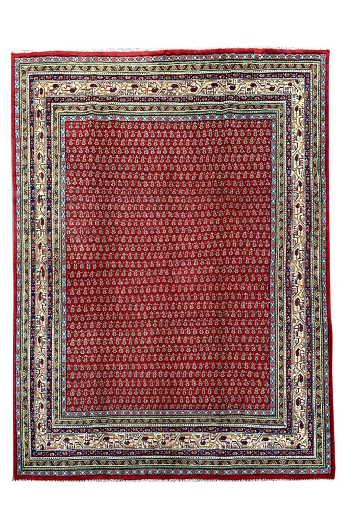 Amazing Hand Knotted Badam Gul Mir Wool Area Rug 7 x 7 Ft