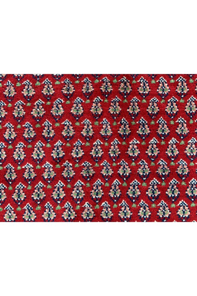 Amazing Hand Knotted Badam Gul Mir Wool Area Rug 7 x 7 Ft - Image 10